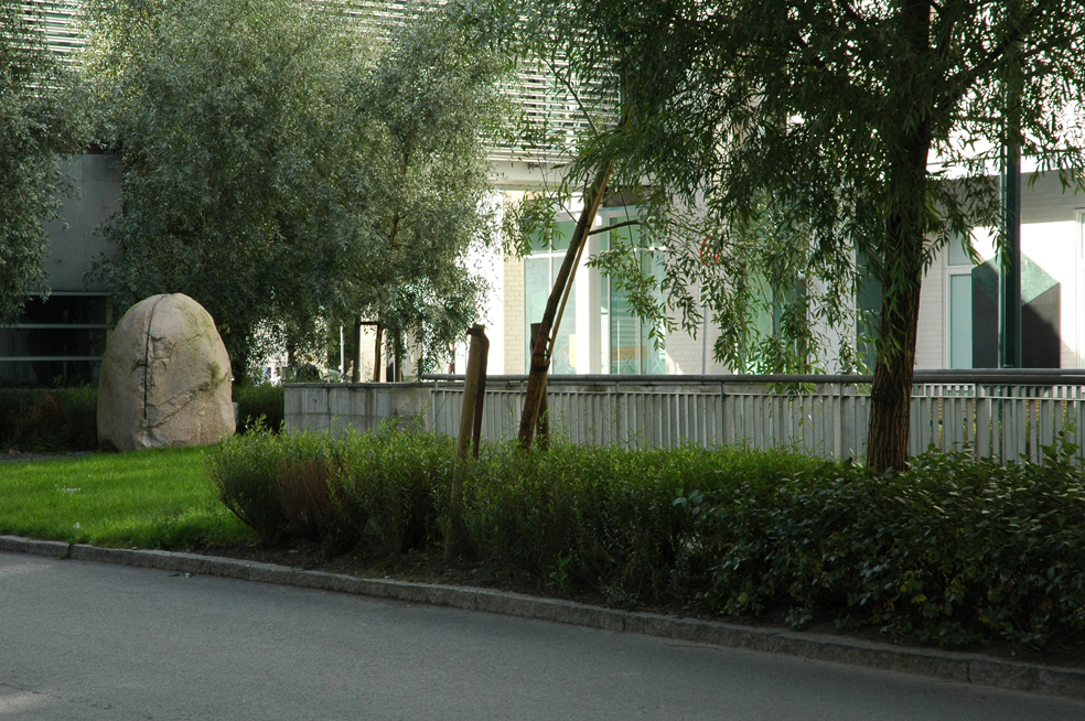 Asplan Viak Trondheim er landskapsarkitekt for hele sykehusområdet. Olav Kyrres gate kom raskt på plass, hvor et samlet beplantningsfelt skiller de to kjørebanene. 
Foto: Olav Ødegården.