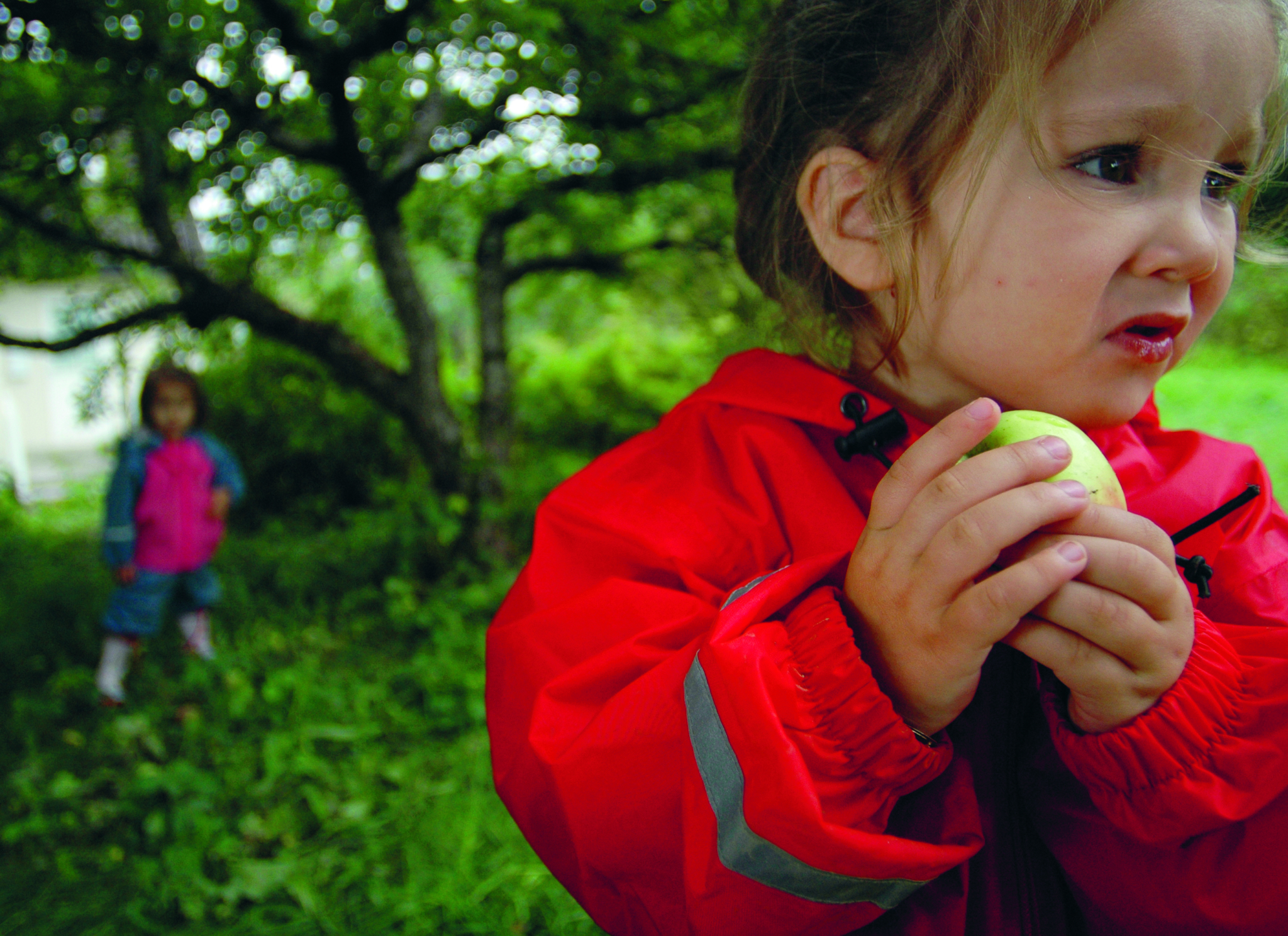 Under frukttrærne i Koalakids familiebarnehage er det skygge når sola steker, men barna er ute i all slags vær, også når det regner. Foto: Sidsel Valum Under frukttrærne i Koalakids familiebarnehage er det skygge når sola steker, men barna er ute i all slags vær, også når det regner. Foto: Sidsel Valum
