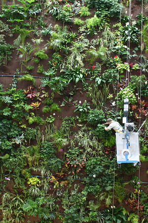 The indoor air biofilter, designet og bygd av Air Quality Solutions Ltd.