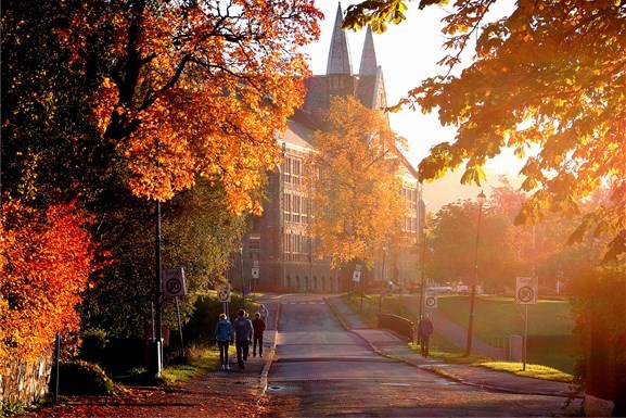 Nye måter å undervise på skal øke NTNU-studentenes interesse for bygningsfysikk og materiallære, skriver kronikkforfatteren. Foto: NTNU Nye måter å undervise på skal øke NTNU-studentenes interesse for bygningsfysikk og materiallære, skriver kronikkforfatteren. Foto: NTNU