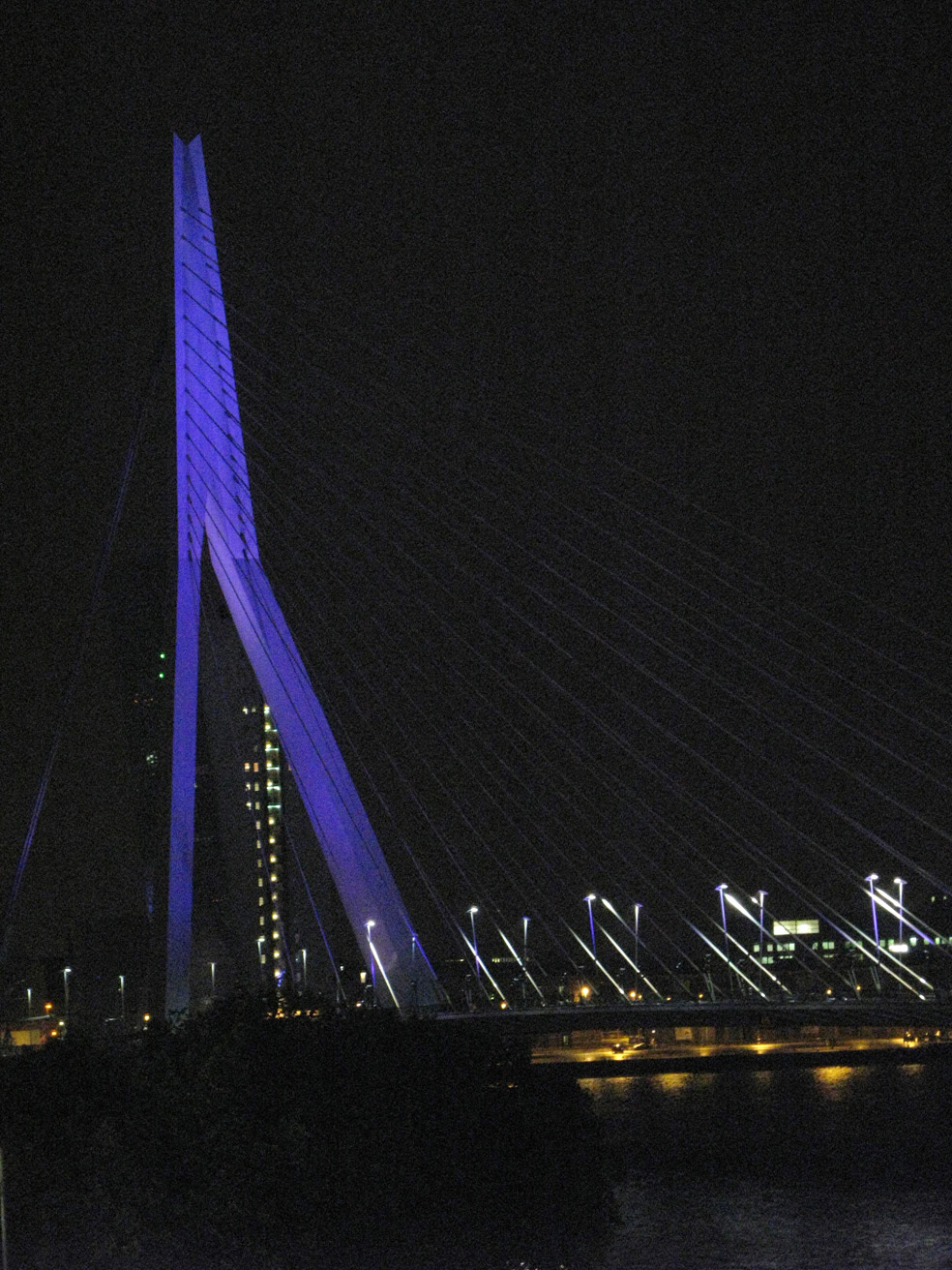 Rotterdams landemerke Erasmus-broen markerer seg i biennalenatten.