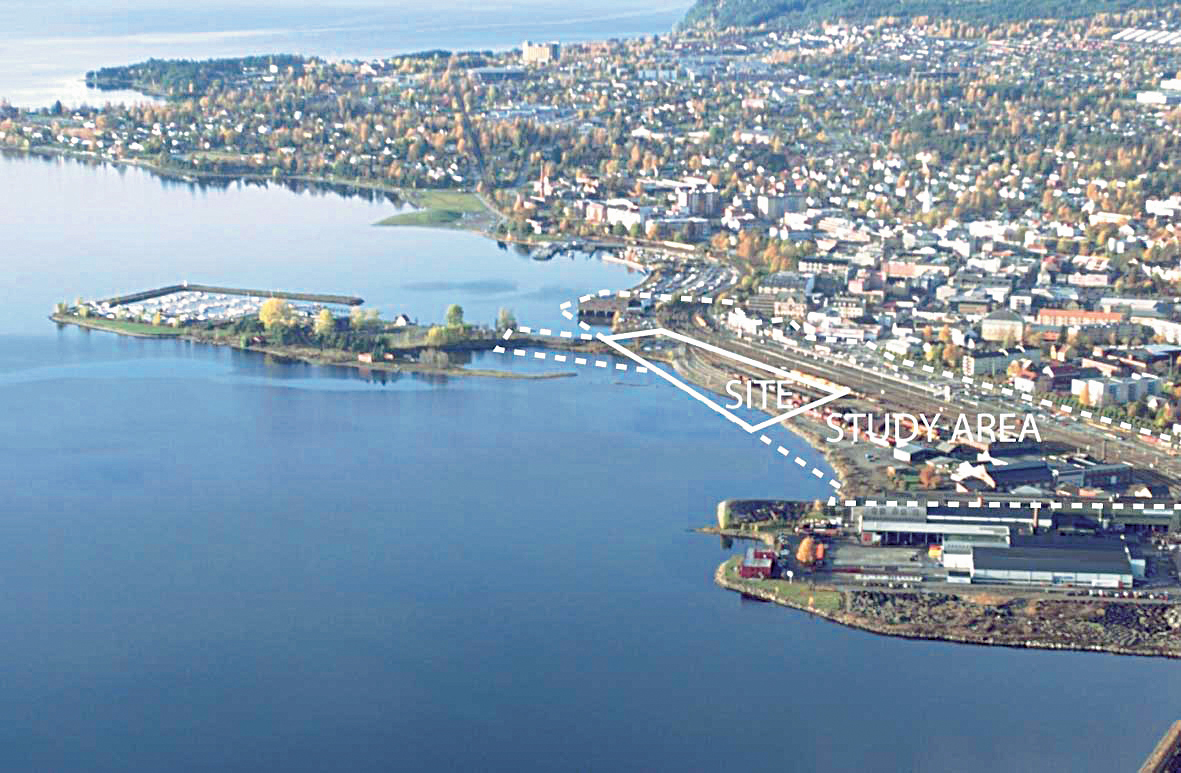 Strandsonen på Hamar