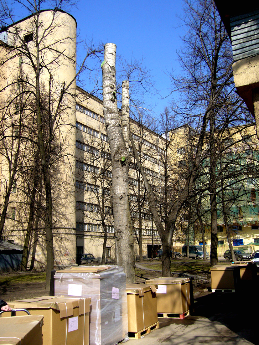 Bokollektiv for 2000 studenter av Nikolajev 192931.