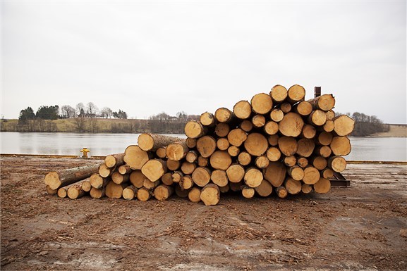 Borg havn. Foto: Ingvil Skeie Ljones