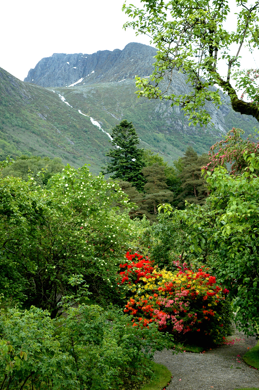 Parken på baroniet Rosendal kan by på inspirasjon til moderne landskapsarkitektur. Foto: Jochen Schirdewahn.