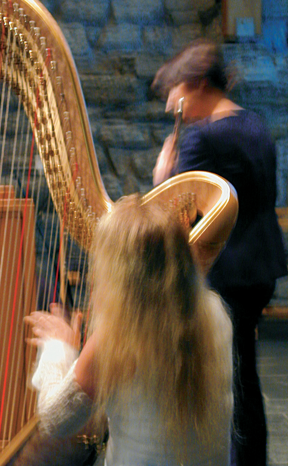 Musikalsk i Storhamarlåven, konsert ved Ellen Sejersted Bødtker (harpe) og Anne Lill Ree (fløyte.)