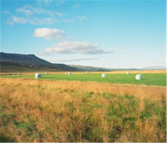 Arkitekturdebatt mer enn høyballkrangel. Arkitekturdebatt mer enn høyballkrangel.