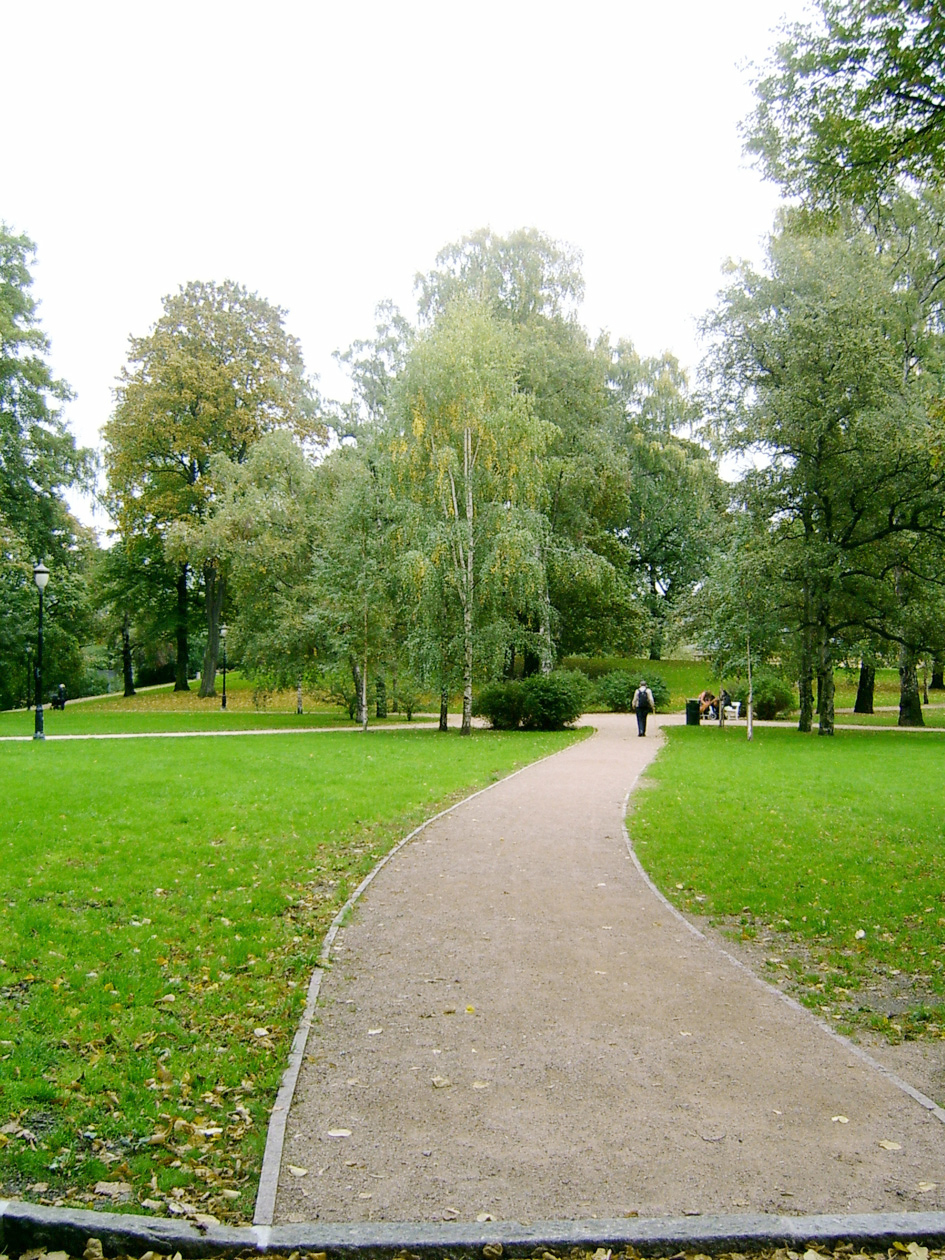 Naturlig ledelinje, Slottsparken. 
Foto: Karen Kjeldsberg Phil.