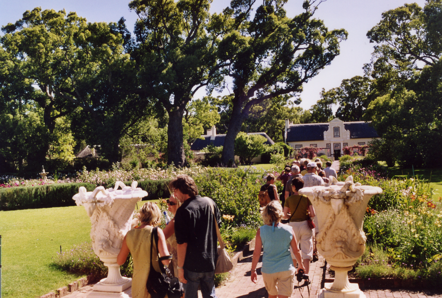 Vingodset Vergelegen med de mektige kamfertrærne, plantet mellom 1700 og 1706. Erklært som nasjonalminner i 1942. Vingodset Vergelegen med de mektige kamfertrærne, plantet mellom 1700 og 1706. Erklært som nasjonalminner i 1942.