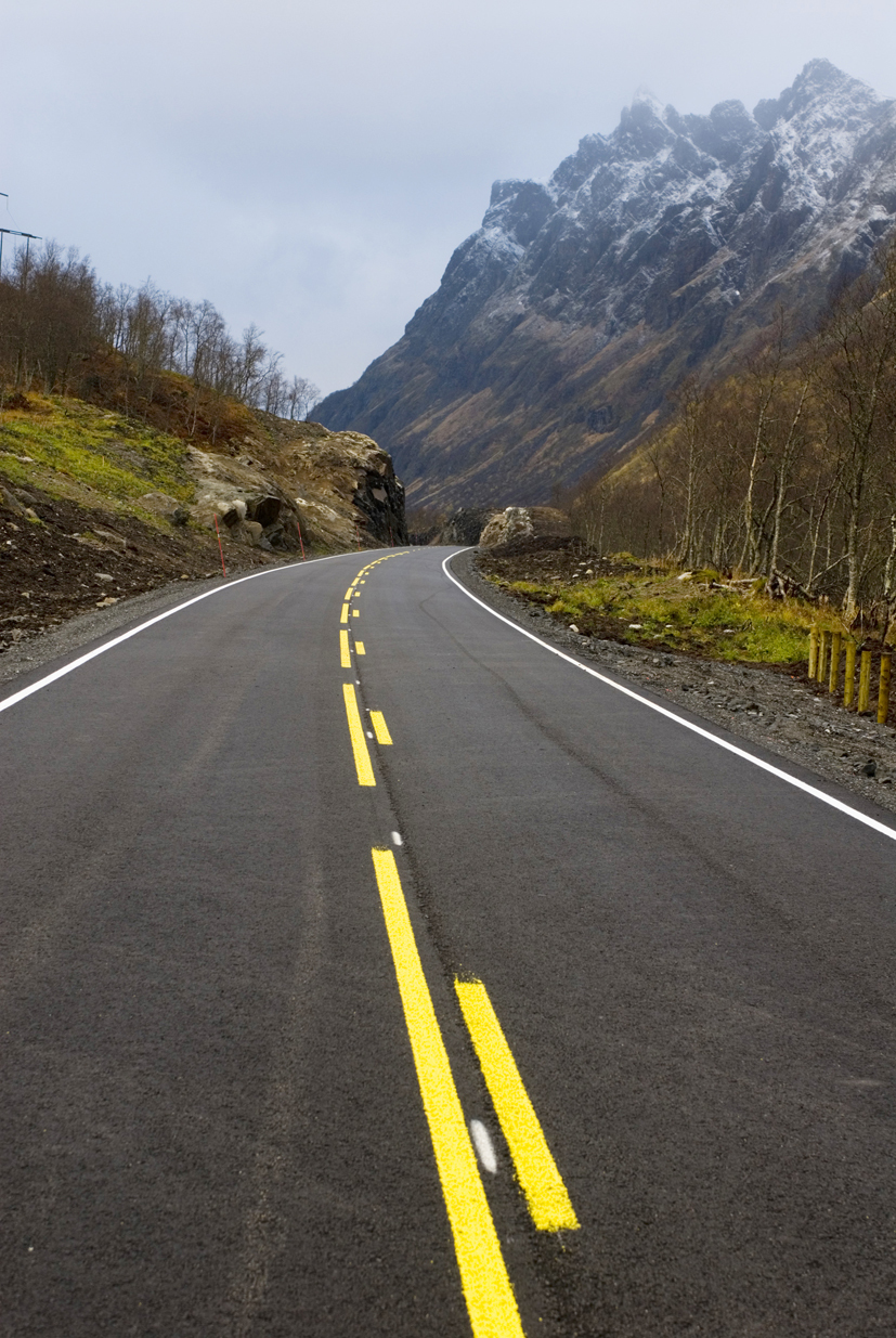 Det er ikke brukt kommersielle frøblandinger i anlegget, men lagt til rette for revegetering. Fotos: Johan Brun.
