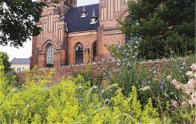I Danmark er det gjerne slik at biodiversiteten er størst og har best vilkår i
byene, sier Lasse Lind. Bildet viser Urban Greens biotoper plantet ved Blegdamsvej på Nørrebro i København. Foto: GXN/3XN 