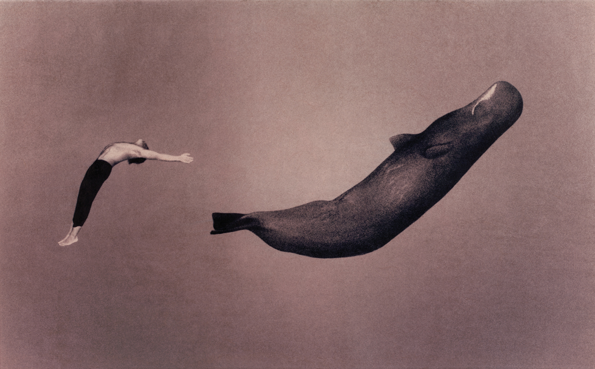 Gregory Colbert i undervannsdans med en hval.