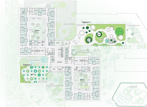 Plantegningen av det nye neurosenteret, tegnet av Nordic og Aart. Illustrasjon: Arkitektene Plantegningen av det nye neurosenteret, tegnet av Nordic og Aart. Illustrasjon: Arkitektene