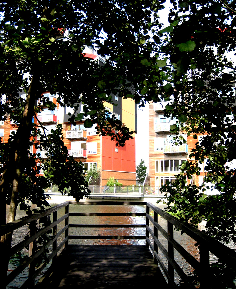 Våtmarkspark i boligområde i Greenwich. Foto: Erlend Seilskjær.