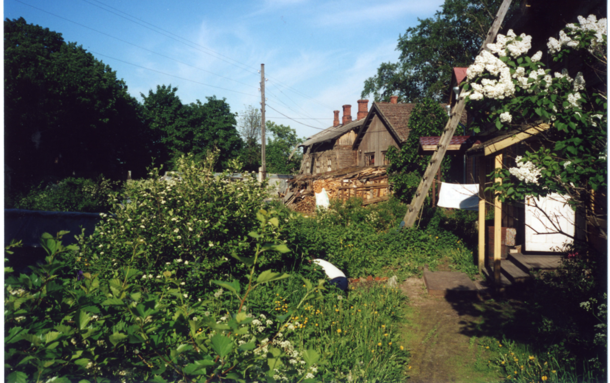 Bakhagene brukes, her dyrkes årets forråd av grønnsaker. Bakhagene brukes, her dyrkes årets forråd av grønnsaker.