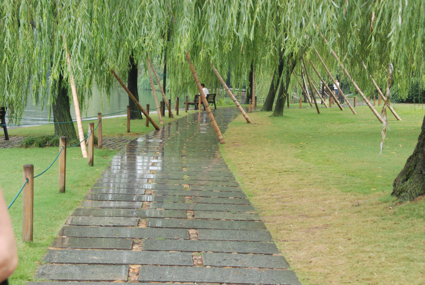 West Lake-parken  stormstøtter i bambus.