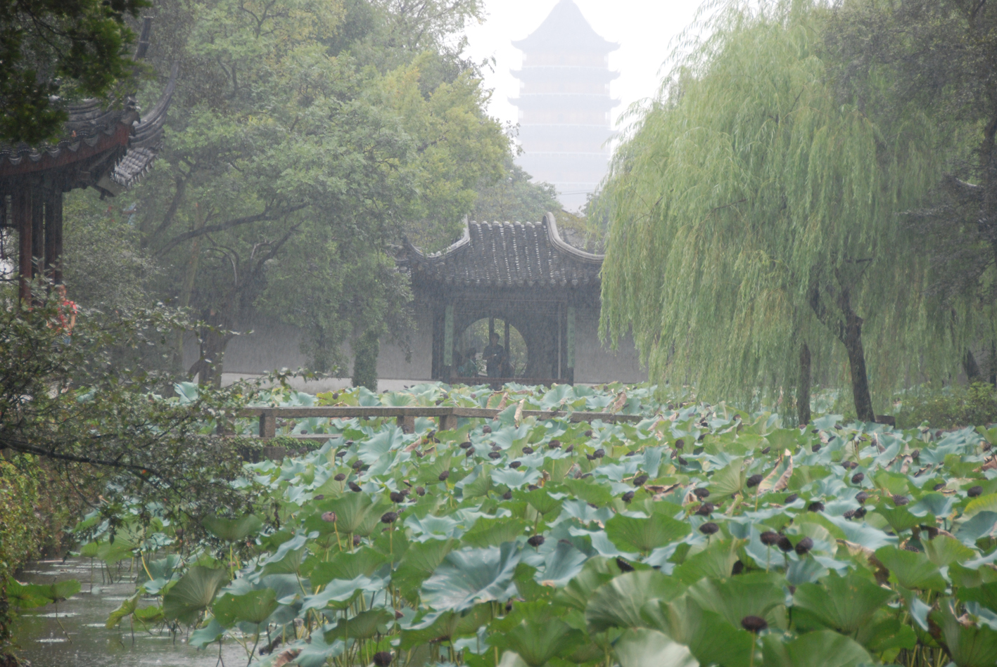 Suzhou  regn er kilden til alt liv.